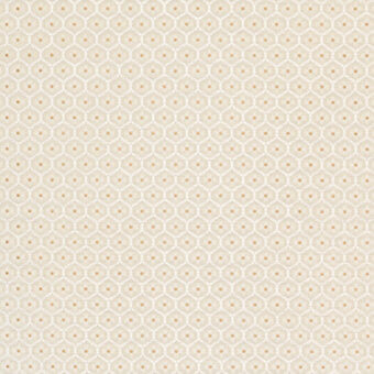 CR4-C-009